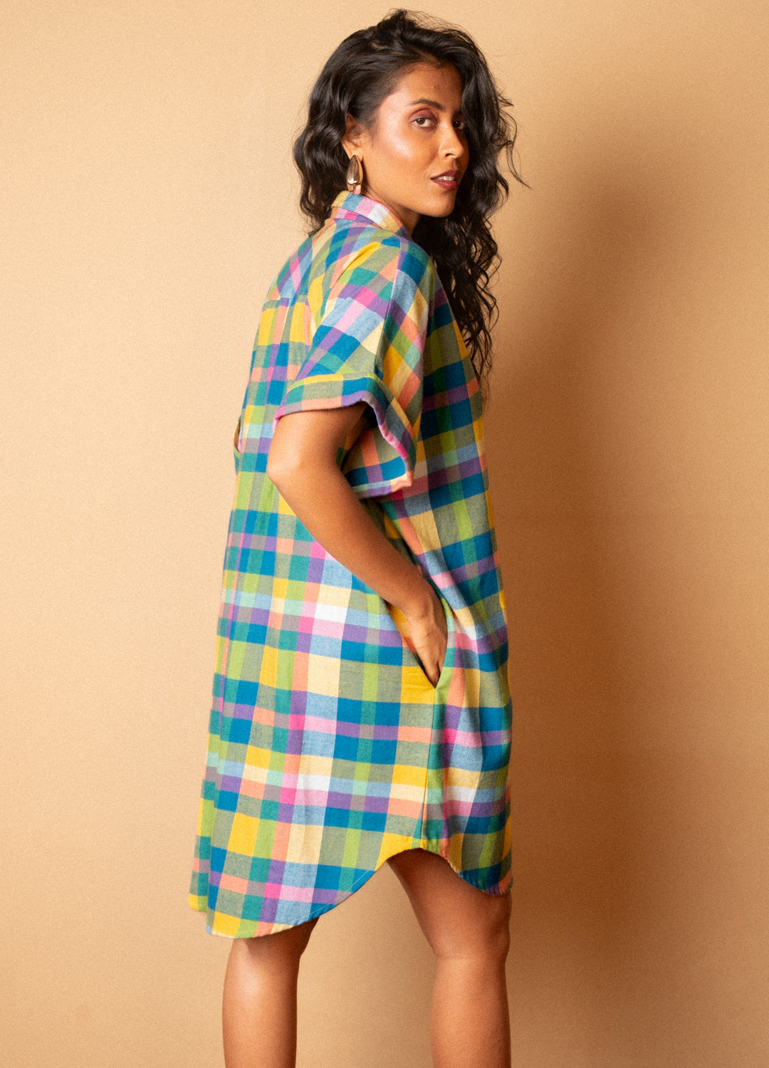 Picnic Shirt Dress